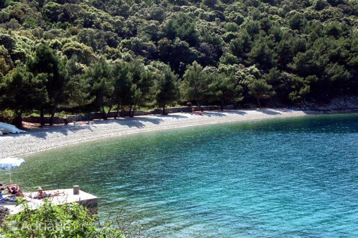 Studio Apartman Nona Angela-Valun Cres Dış mekan fotoğraf